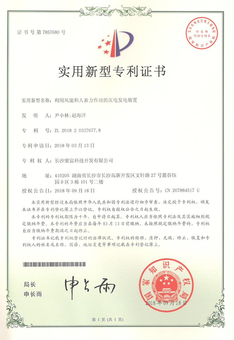 3.2-ZL201820337677.8-利用(yòng)風(fēng)能(néng)和(hé)人(rén)畜力作(zuò)功的(de)壓電(diàn)發電(diàn)裝置  1
